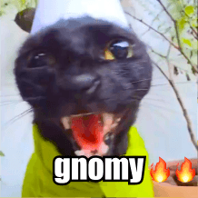 Gnomy 3